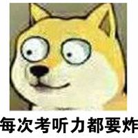 关于英语听力的学生党doge表情包 为什么英语有听力