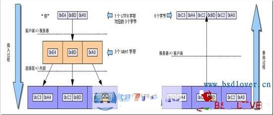 MySQL乱码问题终极指南