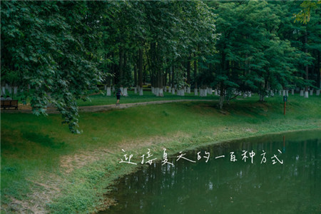 夏日风景图片唯美森系 夏天朋友圈风景图片配字