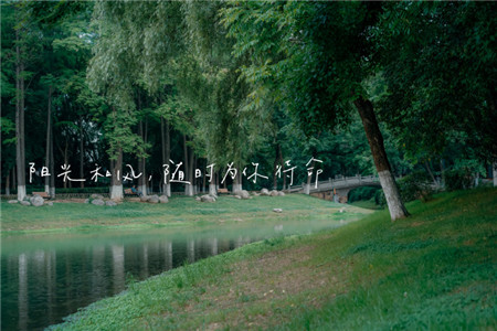 夏日风景图片唯美森系 夏天朋友圈风景图片配字