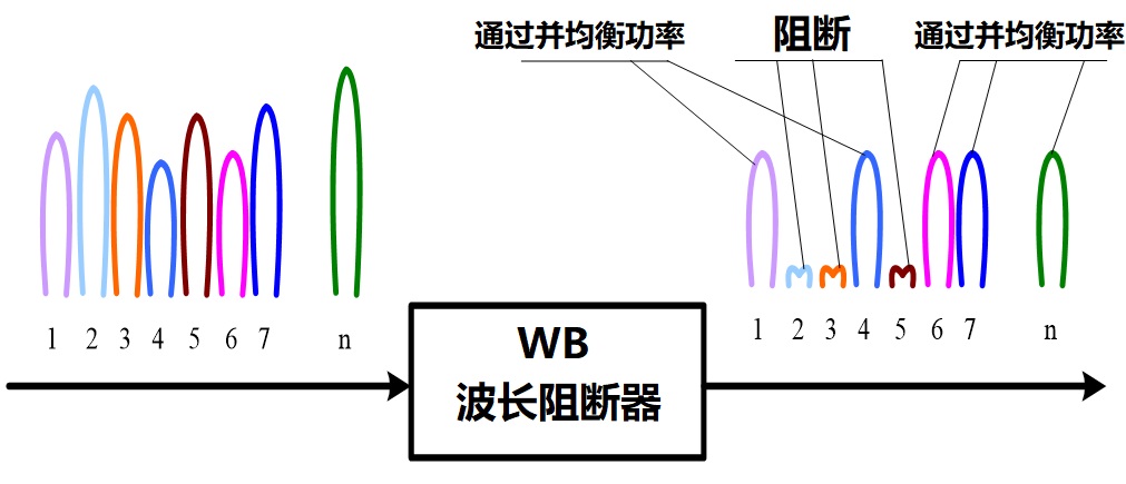 科普：什么是 ROADM？