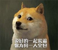 doge装逼表情包 超搞笑的doge表情最新版