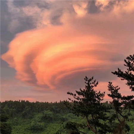 好看不单调生活图片素材合集 有人终生怀念某一年的夏天