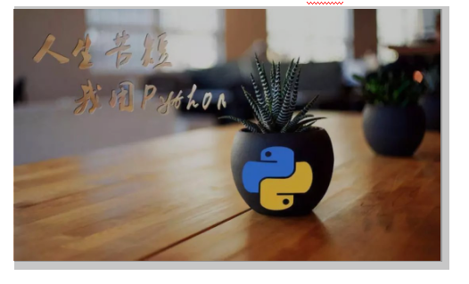 Python和C语言先学哪个好？