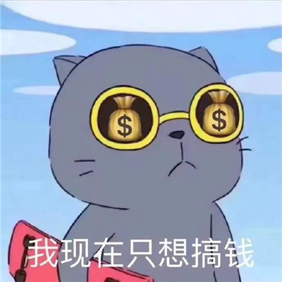 微博上超火的萌宠表情包 我对象长什么样