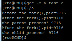 Linux系统中C语言编程创建函数fork()执行解析