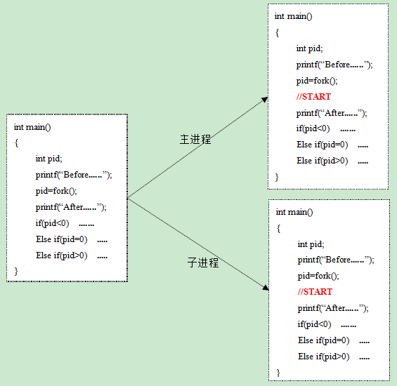 Linux系统中C语言编程创建函数fork()执行解析