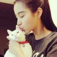 qq高清抱猫女生头像个性十足 当脑瘫猫咪遇上有爱女孩