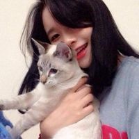 qq高清抱猫女生头像个性十足 当脑瘫猫咪遇上有爱女孩