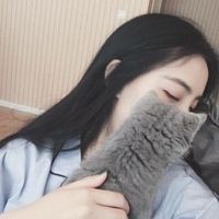 qq高清抱猫女生头像个性十足 当脑瘫猫咪遇上有爱女孩