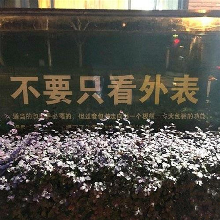 一组很有工业风的微信背景图 依旧是那个快乐无比的姑娘