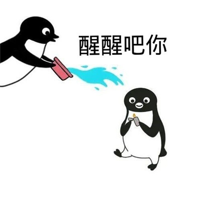 suica企鹅可爱的微信表情包 充满欢乐的可爱微信表情