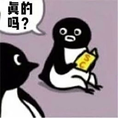 suica企鹅可爱的微信表情包 充满欢乐的可爱微信表情