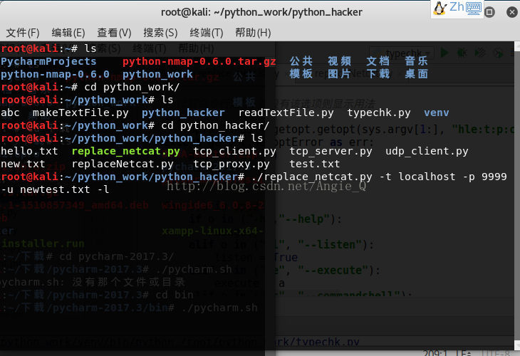 浅谈Python黑帽子取代netcat