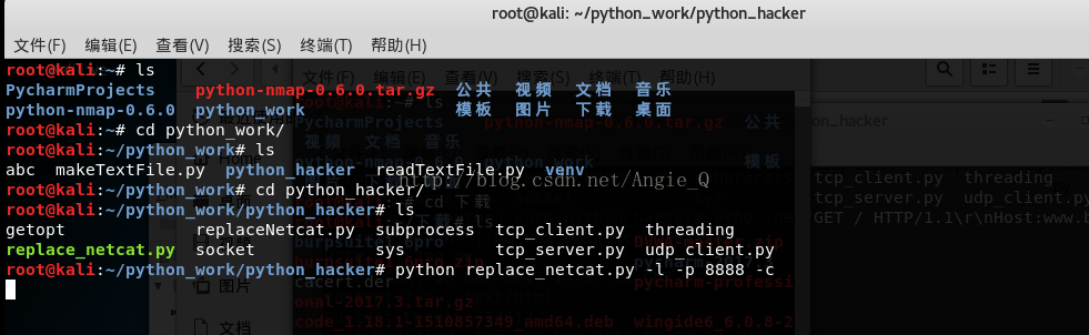 浅谈Python黑帽子取代netcat