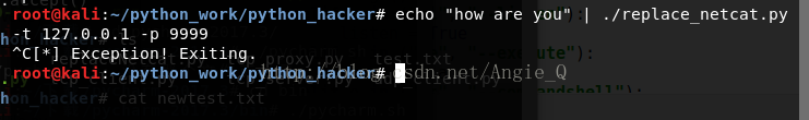 浅谈Python黑帽子取代netcat