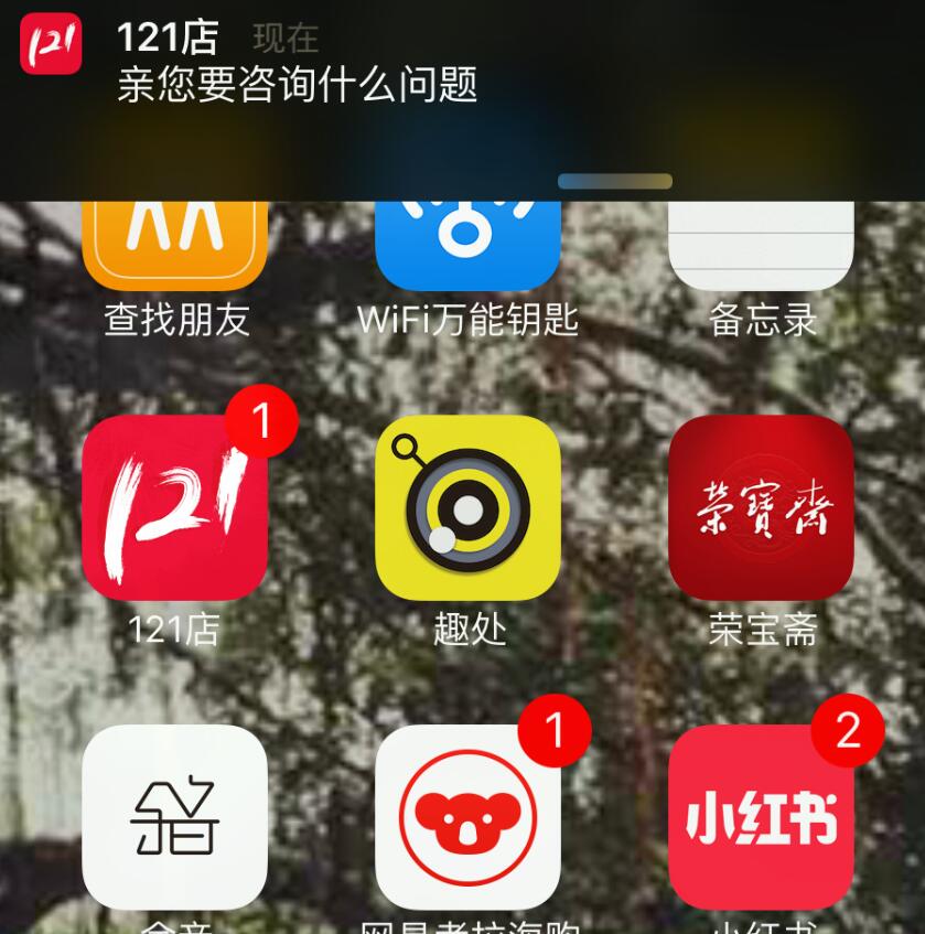 iOS自定义推送消息提示框