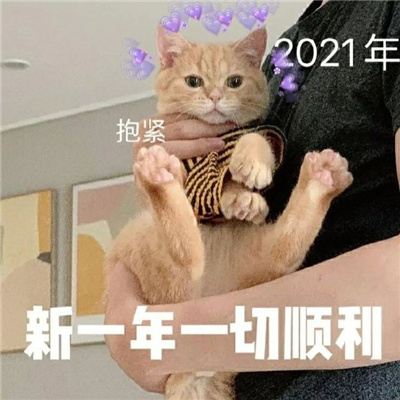 超萌新年猫咪拜年表情包 2021坏运统统走开