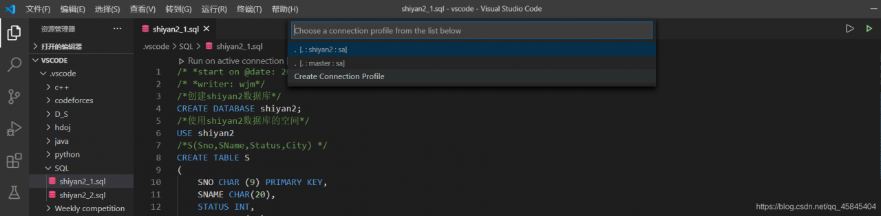 Vscode上使用SQL的方法