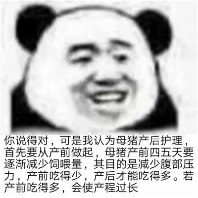 不想回应别人问题时装疯卖傻专用表情包 很有趣的文字表情合集