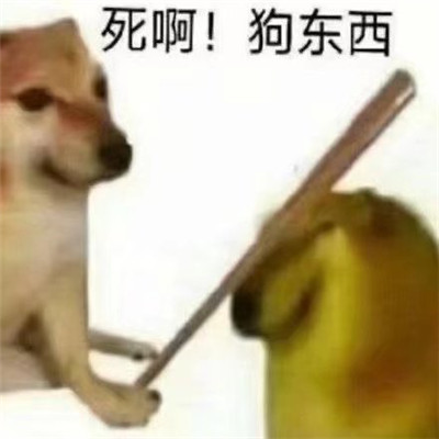 一组沙雕又可爱的柴犬cheems表情包 最新热门的聊天可爱表情大全合集