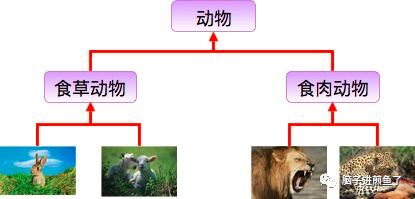 Go 面试官问我如何实现面向对象？