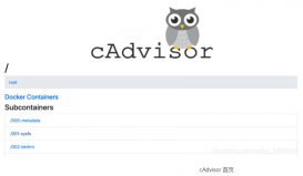 Docker 容器监控原理及 cAdvisor的安装与使用说明