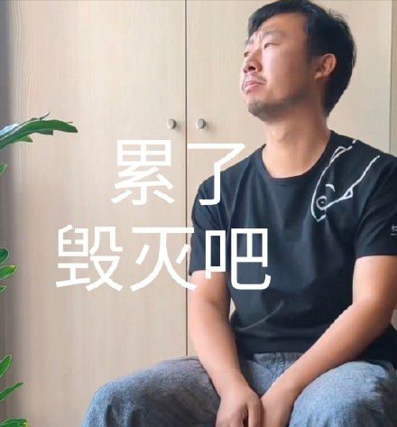 藏狐小亮是什么梗?为什么叫张辰亮藏狐?藏狐小亮表情包大全