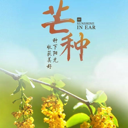 芒种节气唯美带字空间配图素材2021 芒种超级好看的素材大全