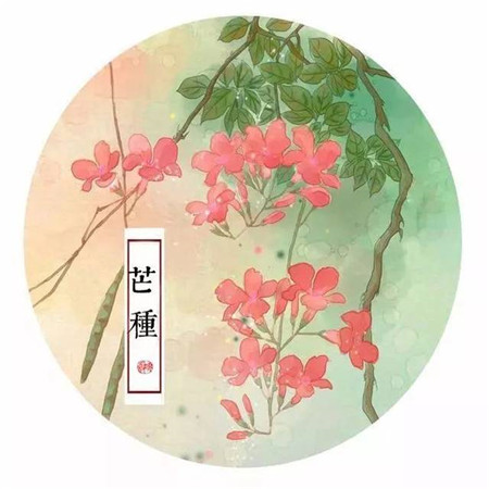 芒种节气唯美带字空间配图素材2021 芒种超级好看的素材大全