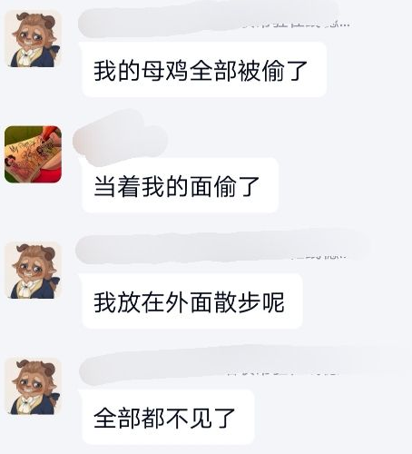 摩尔庄园偷牛bug怎么回事？摩尔庄园手游母牛，奶牛怎么获得？