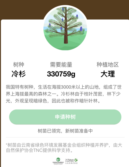 蚂蚁森林冷杉要多少克能量？蚂蚁森林冷杉有多少颗？