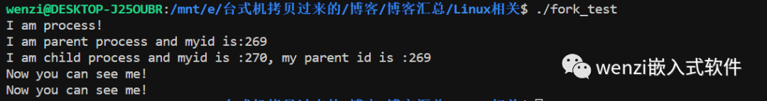 说一说 Linux 进程控制