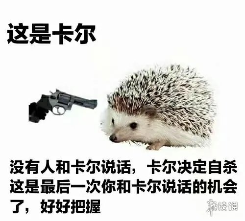 小刺猬卡尔是什么梗？小刺猬卡尔表情包大全