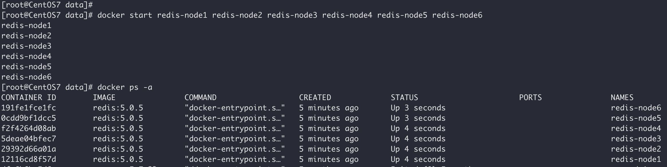 基于Docker搭建Redis主从集群的实现