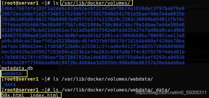 Docker中数据卷(volume)管理的两种方式