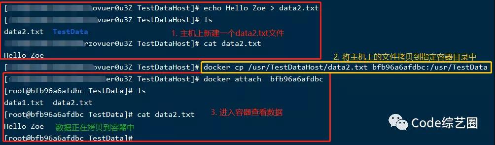 Docker小白到实战之容器数据卷，整理的明明白白