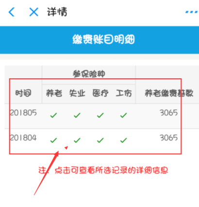 支付宝社保查询打不开是怎么回事 支付宝社保怎么查询缴费记录