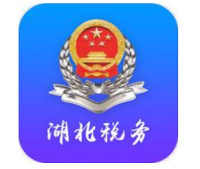 湖北税务APP怎么没有了？湖北税务APP代缴小孩医保显示已停保什么原因?