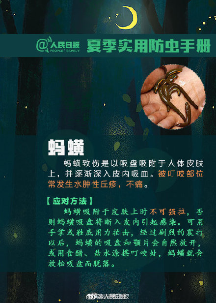 隐翅虫是什么?遇隐翅虫切勿直接拍打 飞虫落身上也不要随意拍打