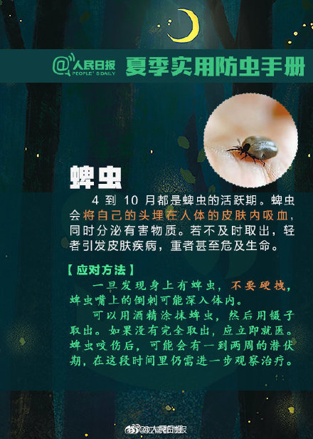 隐翅虫是什么?遇隐翅虫切勿直接拍打 飞虫落身上也不要随意拍打