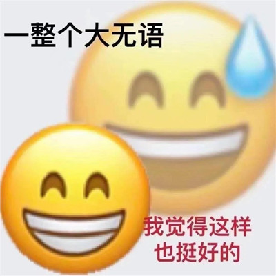 emoji双面表情包超级有趣 很有趣的热门的emoji双面表情合集