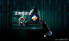 Python正则表达式保姆式教学详细教程