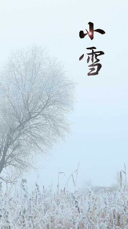 小雪节气高清配图 适合小雪节气发朋友圈的图片素材