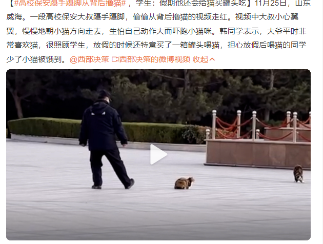 高校保安蹑手蹑脚从背后撸猫 网友:谁能拒绝可爱猫猫呢