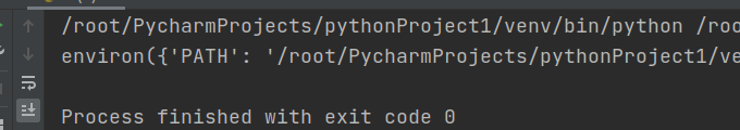 python持久化存储文件操作方法