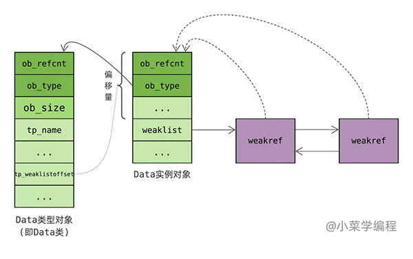 Python 中弱引用的神奇用法与原理探析