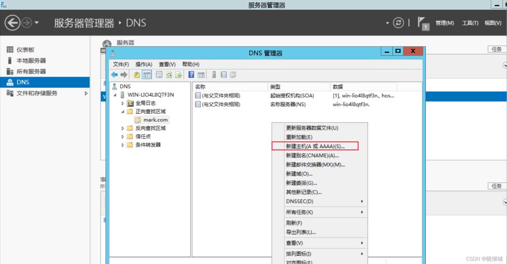 教你搭建dns服务器(图文教程)