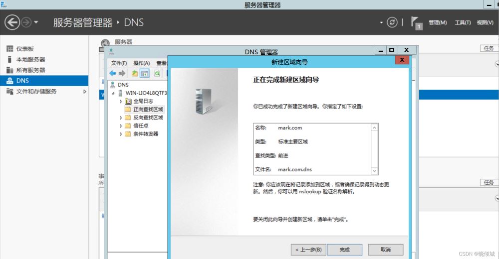 教你搭建dns服务器(图文教程)