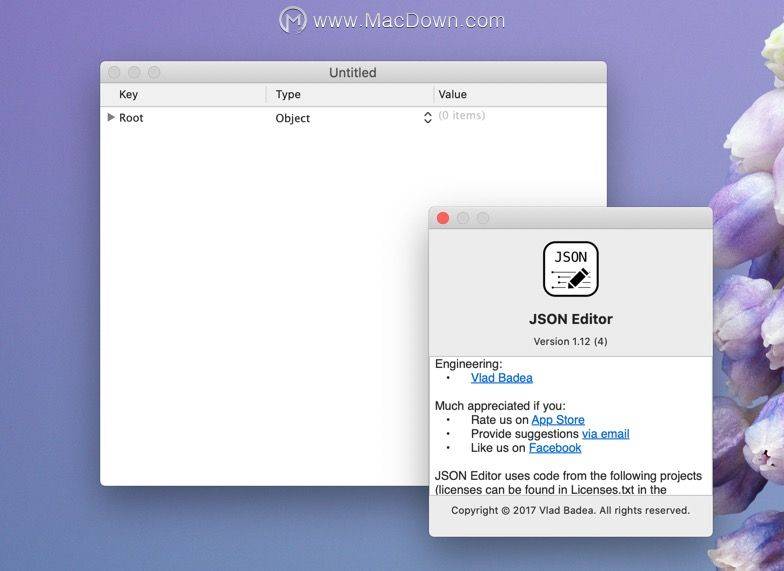 JSON Editor for Mac(JSON编辑器)